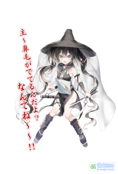 File:巫剑NO.017 乱光包.png