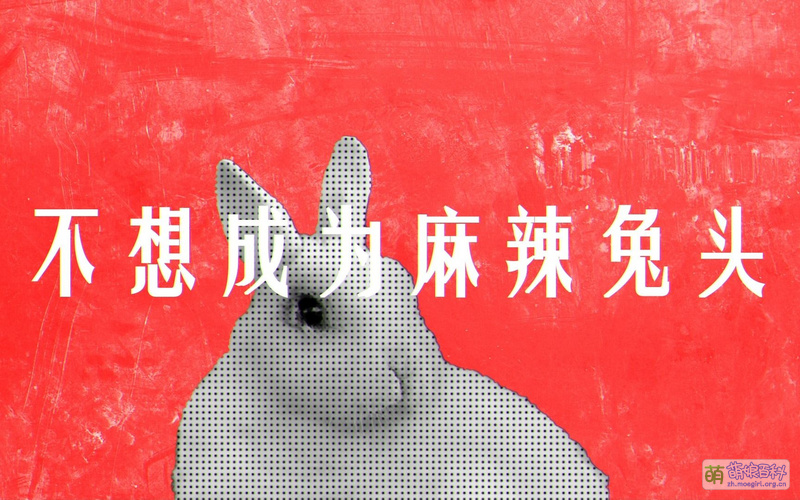 File:不想成为麻辣兔头 封面.jpg