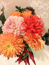 大丽菊和根希百合 金毛组 西口有香小姐图[8]