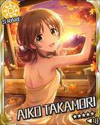 秘密的休息日 SR