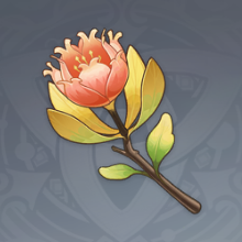 茉洁草.png