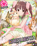 软绵绵的兔子 SR