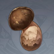 松茸.png