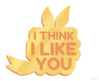 I Think I Like You