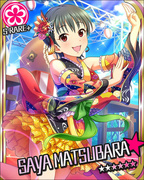 盛装艳服的夏天 SR+