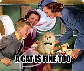 目前可考最早的记录[3]