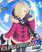 冬季风格·旅行箱 R+