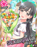 银幕的绮罗星 SR