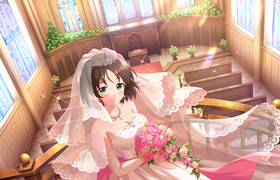 Dreamy Wedding SR