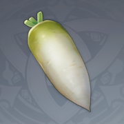 白萝卜.png