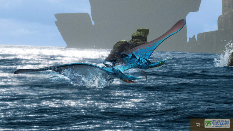 File:Seashocker 1.jpg