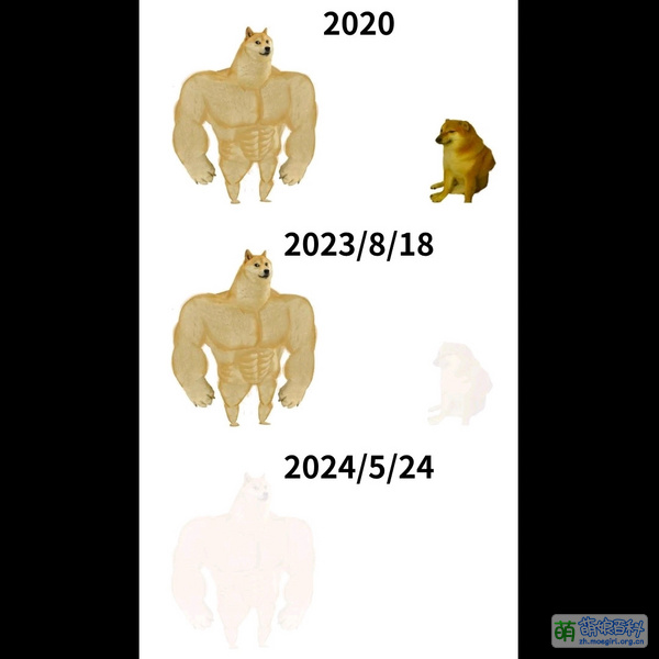 File:Dogevscheems 2020-2024.jpeg