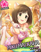 激动人心小猫 SR