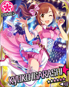 自家制的幸福 SR+