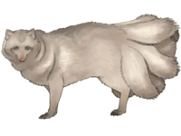 原作中的变身怪/变形怪