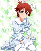 耳としっぽシリーズ SR+