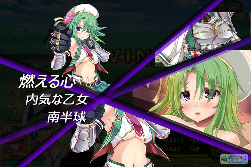 File:Cactaceae Cut-in.jpg