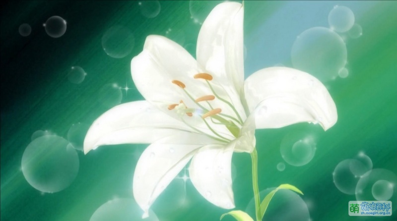File:百合熊風暴EP1 百合花.jpg