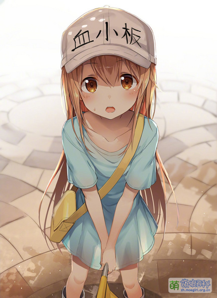 File:血小板 同人0727.jpg