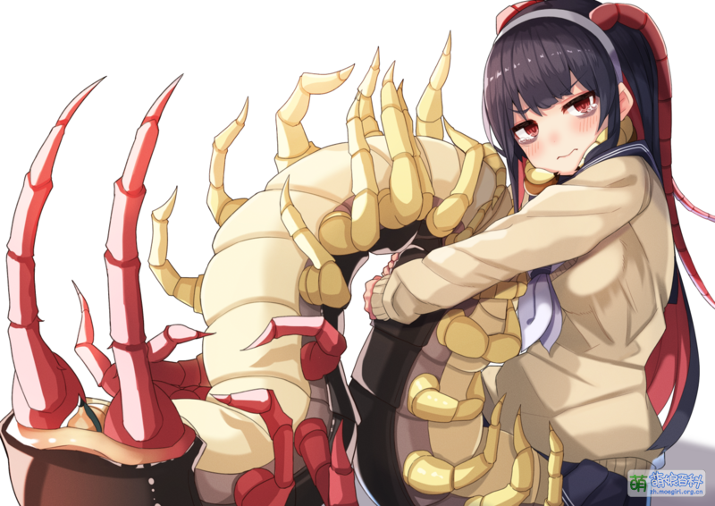 File:New(by planhaplalan).png