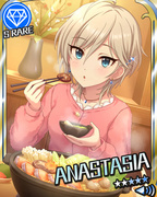 秘密的冬日行程 SR