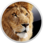 Mac OS X 10.7 Lion
