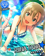 蓝色阳光夏日 SR+