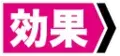 【效果】：表示能力的效果。