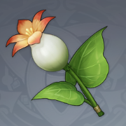 嘟嘟莲.png